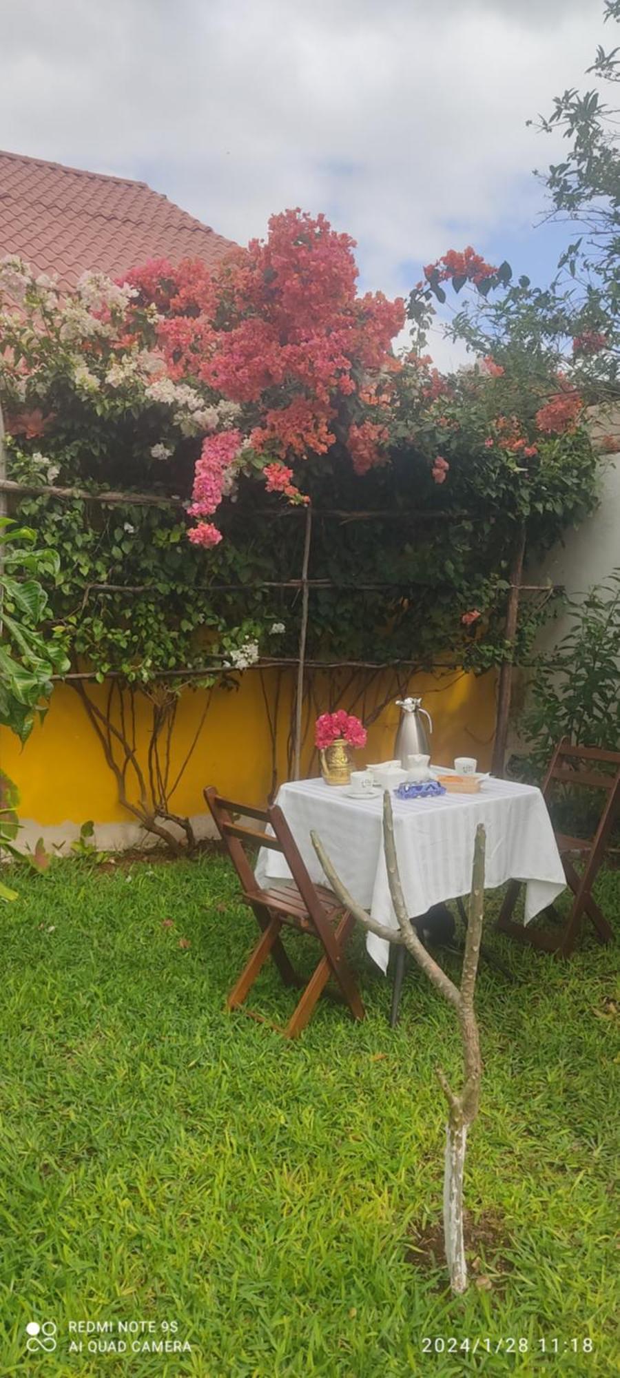 Quinta Rosita Bed and Breakfast Ticul Exteriör bild