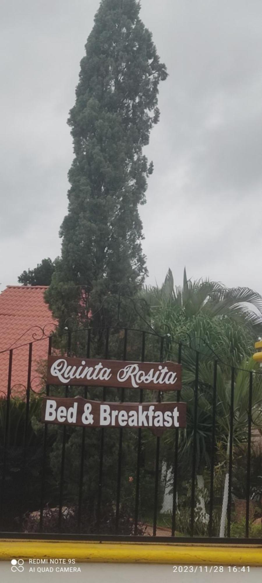 Quinta Rosita Bed and Breakfast Ticul Exteriör bild