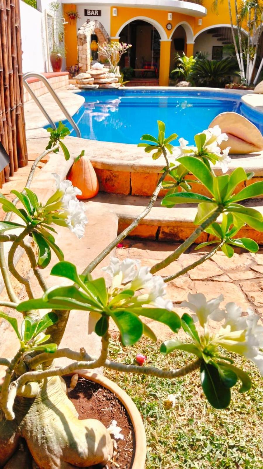 Quinta Rosita Bed and Breakfast Ticul Exteriör bild